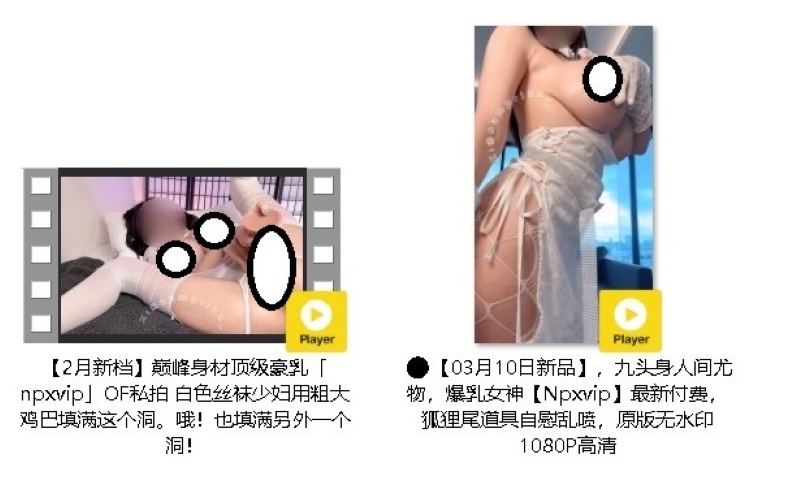 17045026801