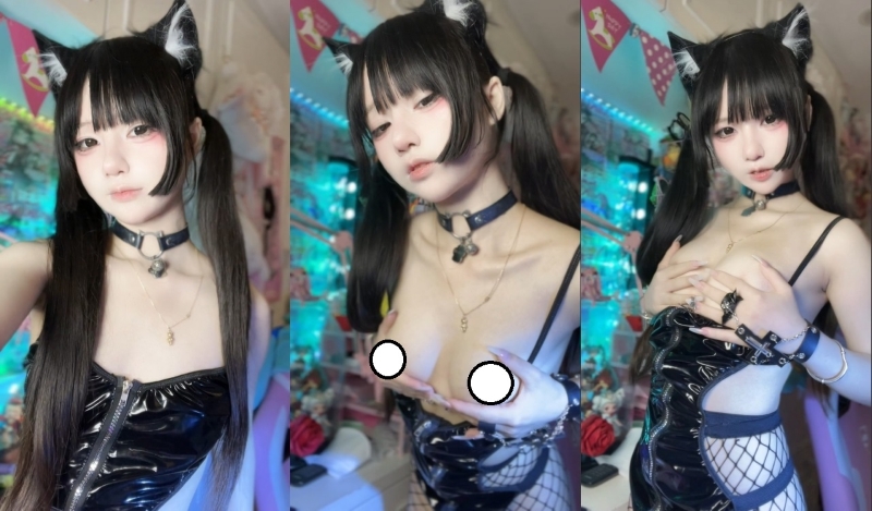 20031212838
