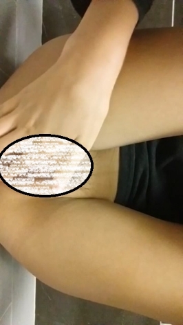 05081446313