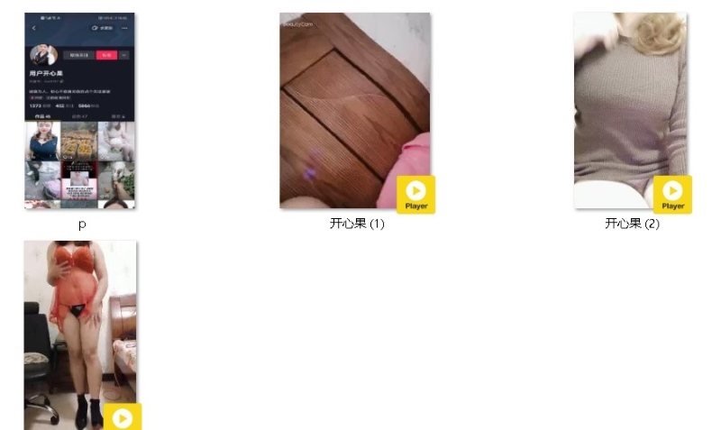 16043010772