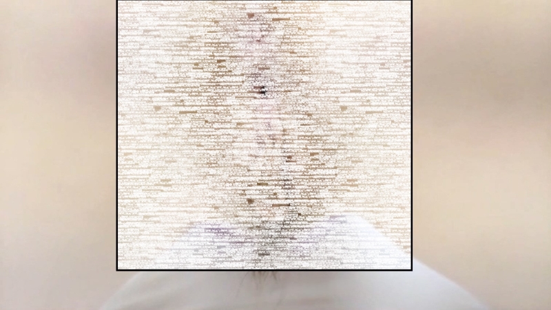 21181531727