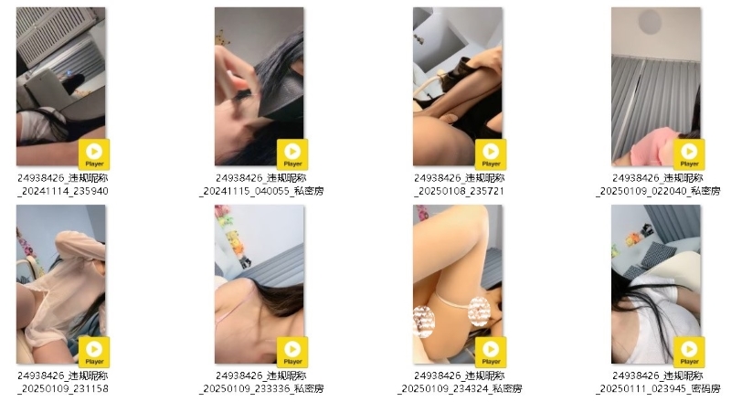 08123446393