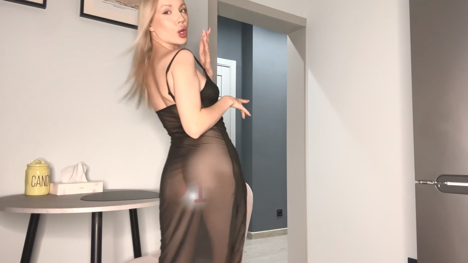 24101517733
