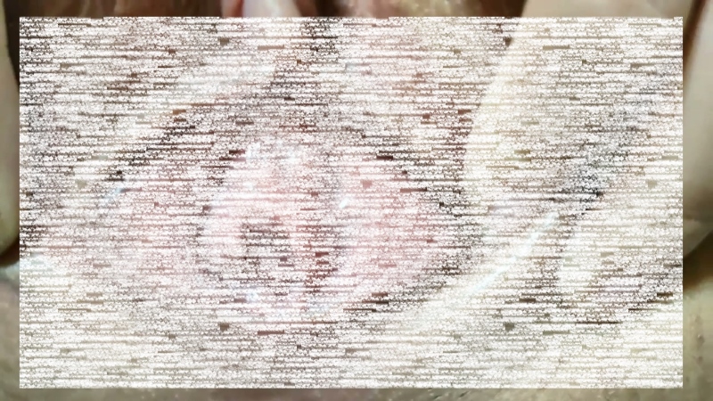 13111332366