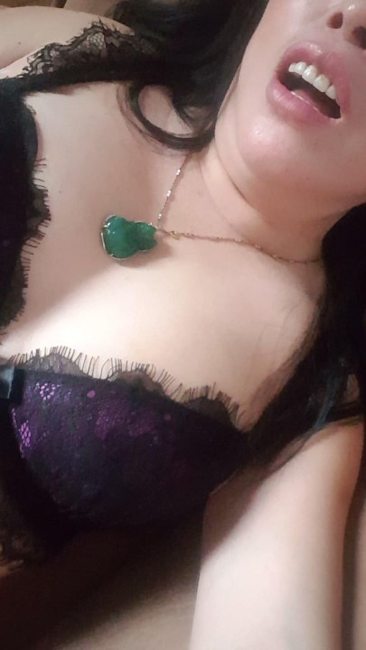 26123022731