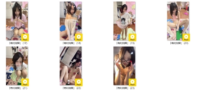 18133508657