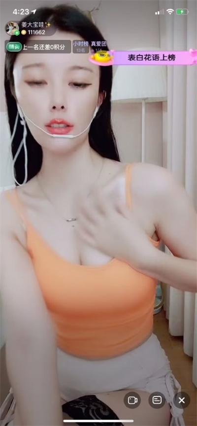23050828667