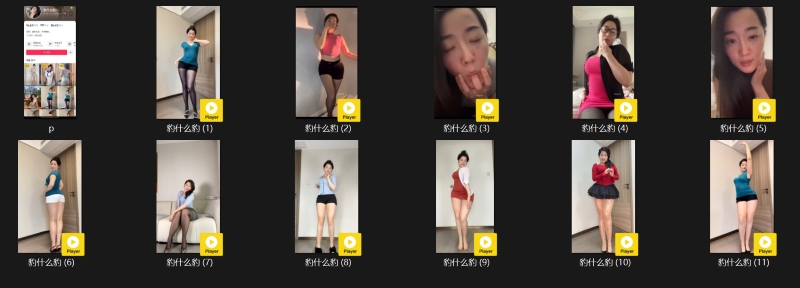 23105548681