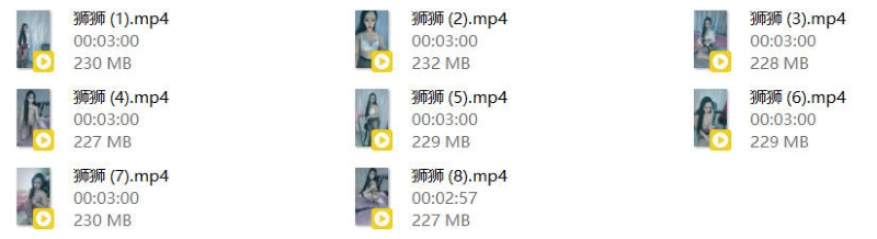 12143317335