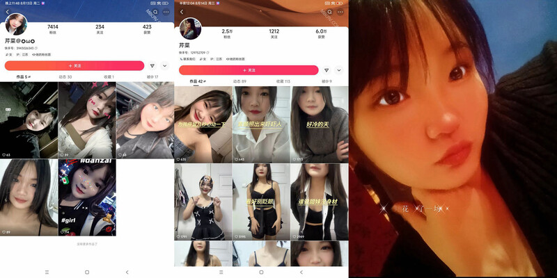 13084210238
