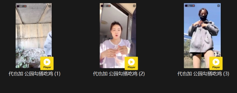 16105027315
