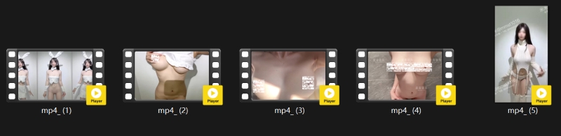 24084229231