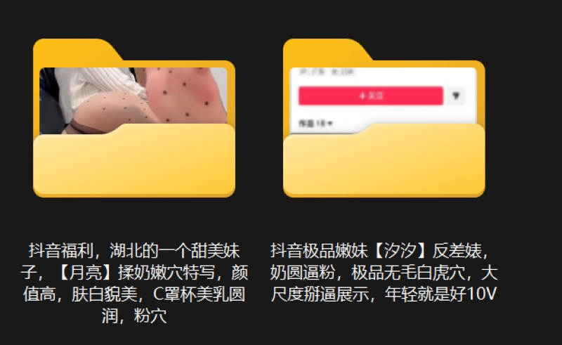 26095723119