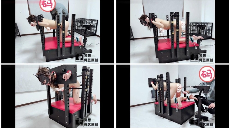 30193346860