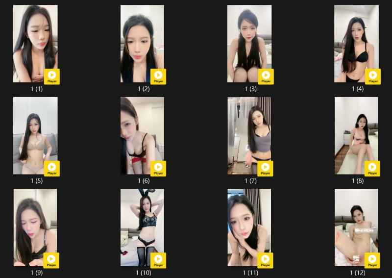 23084653558