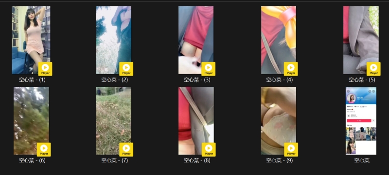 23114631935