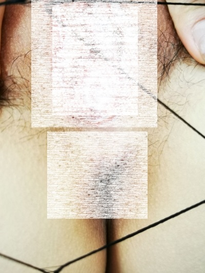 23184634115
