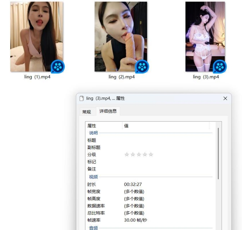 11074810659