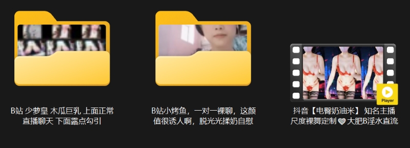 30034106751