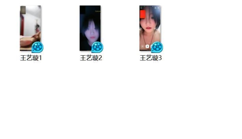 29133002745